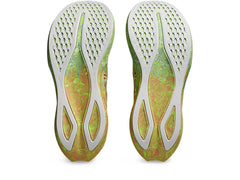 Tenis NOOSA TRI 16 / H / Asics -g