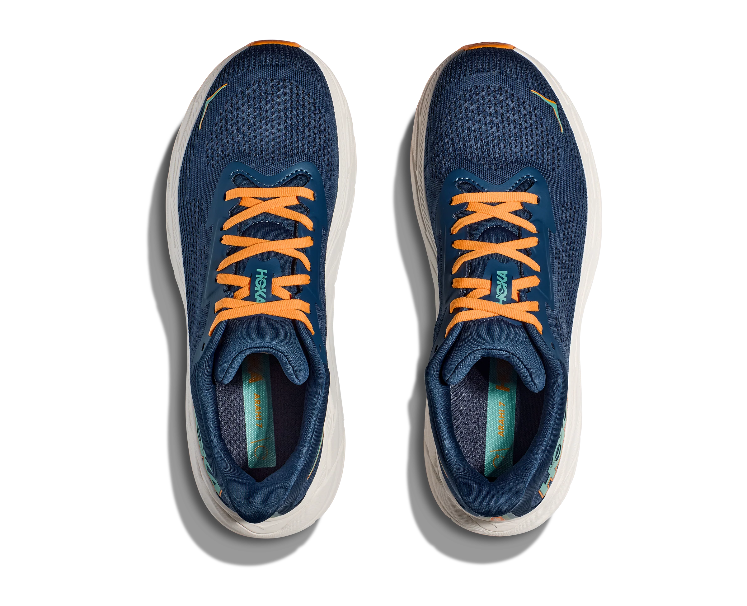 ARAHI 7 MIDNIGHT / SHORELINE M