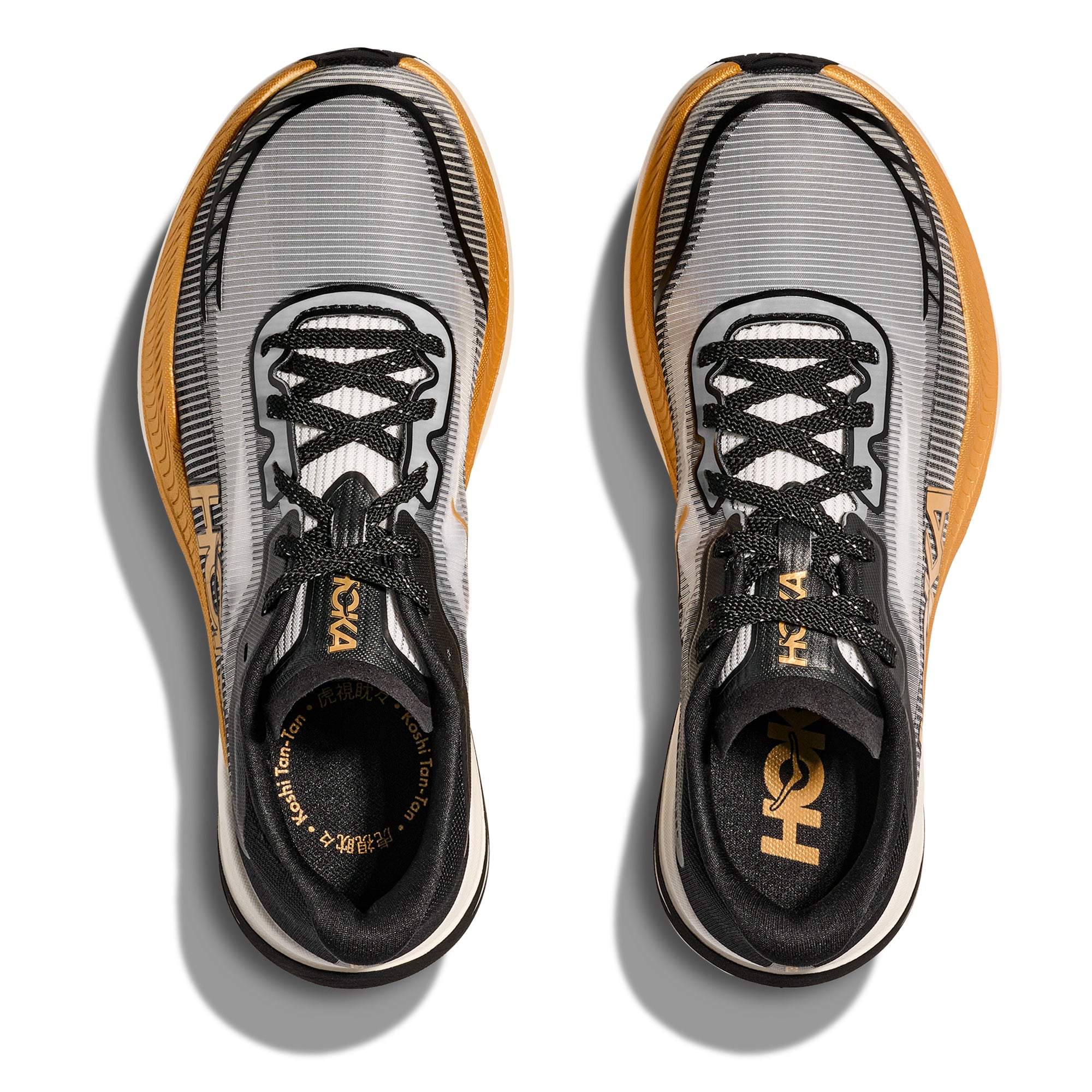 CIELO X1 2.0 KOSHI TAN TAN