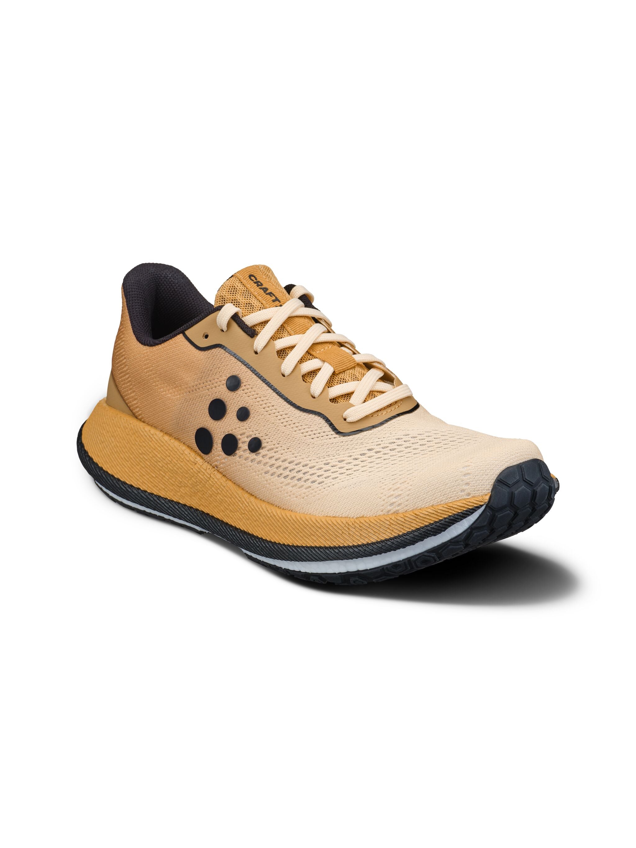 PACER 2
