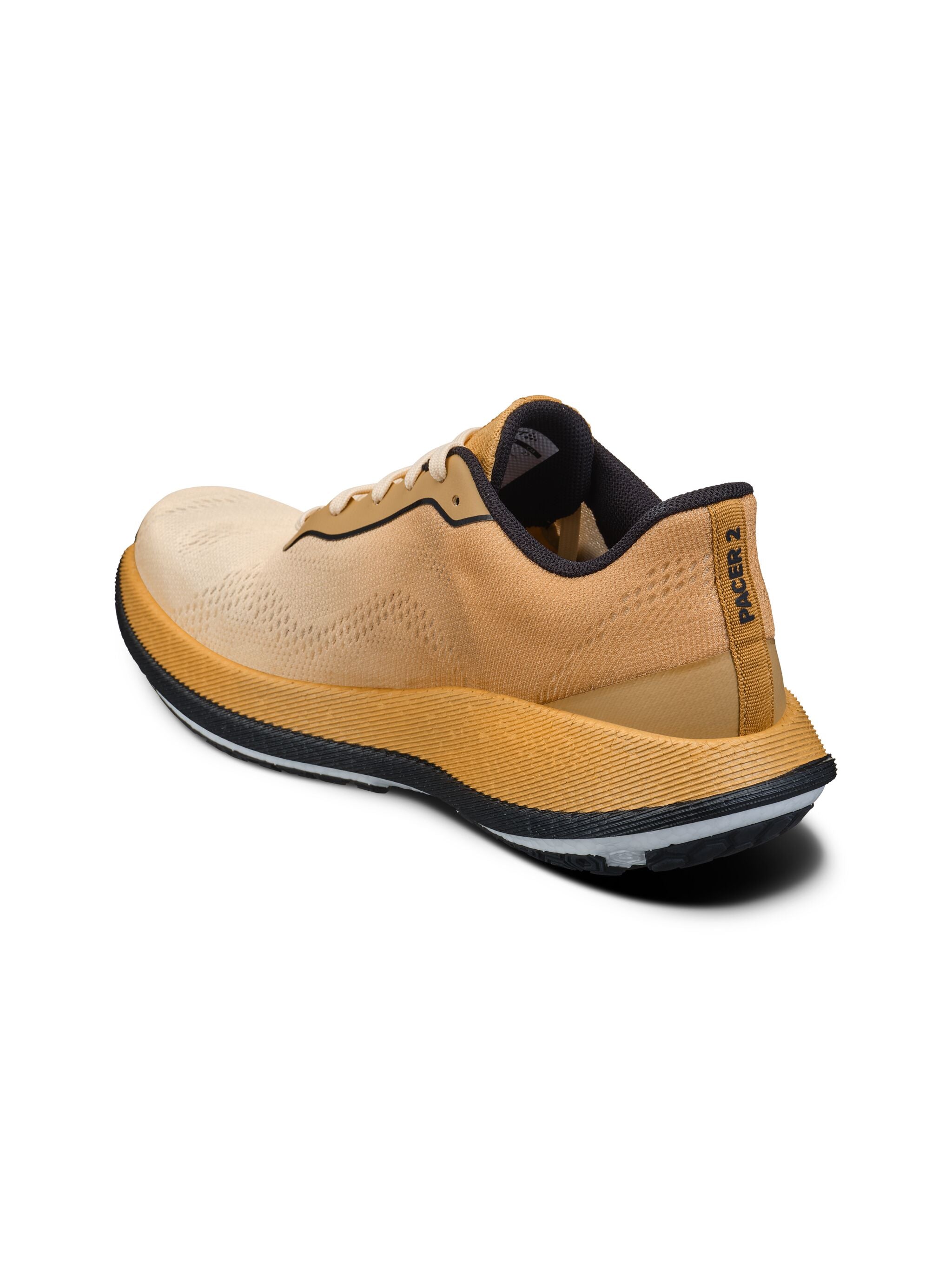 PACER 2