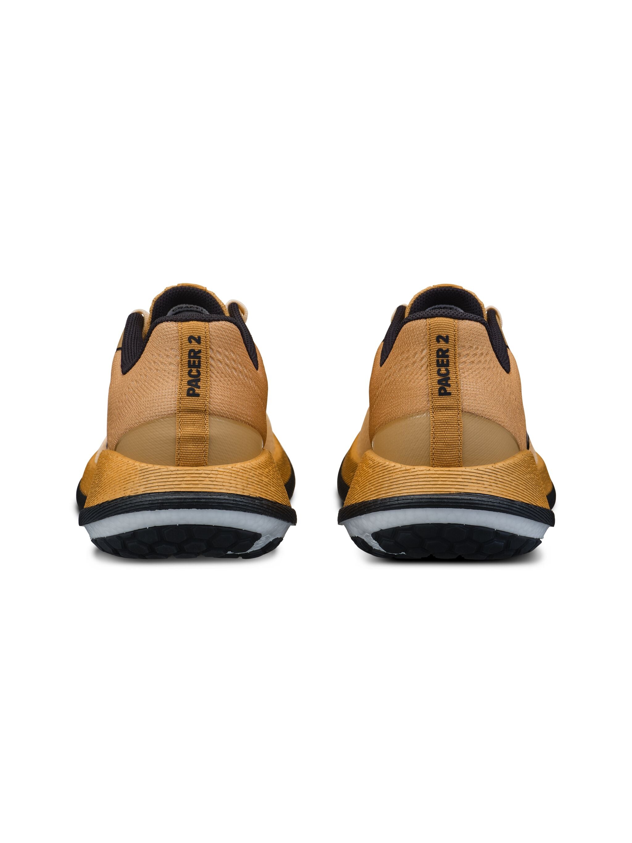 PACER 2