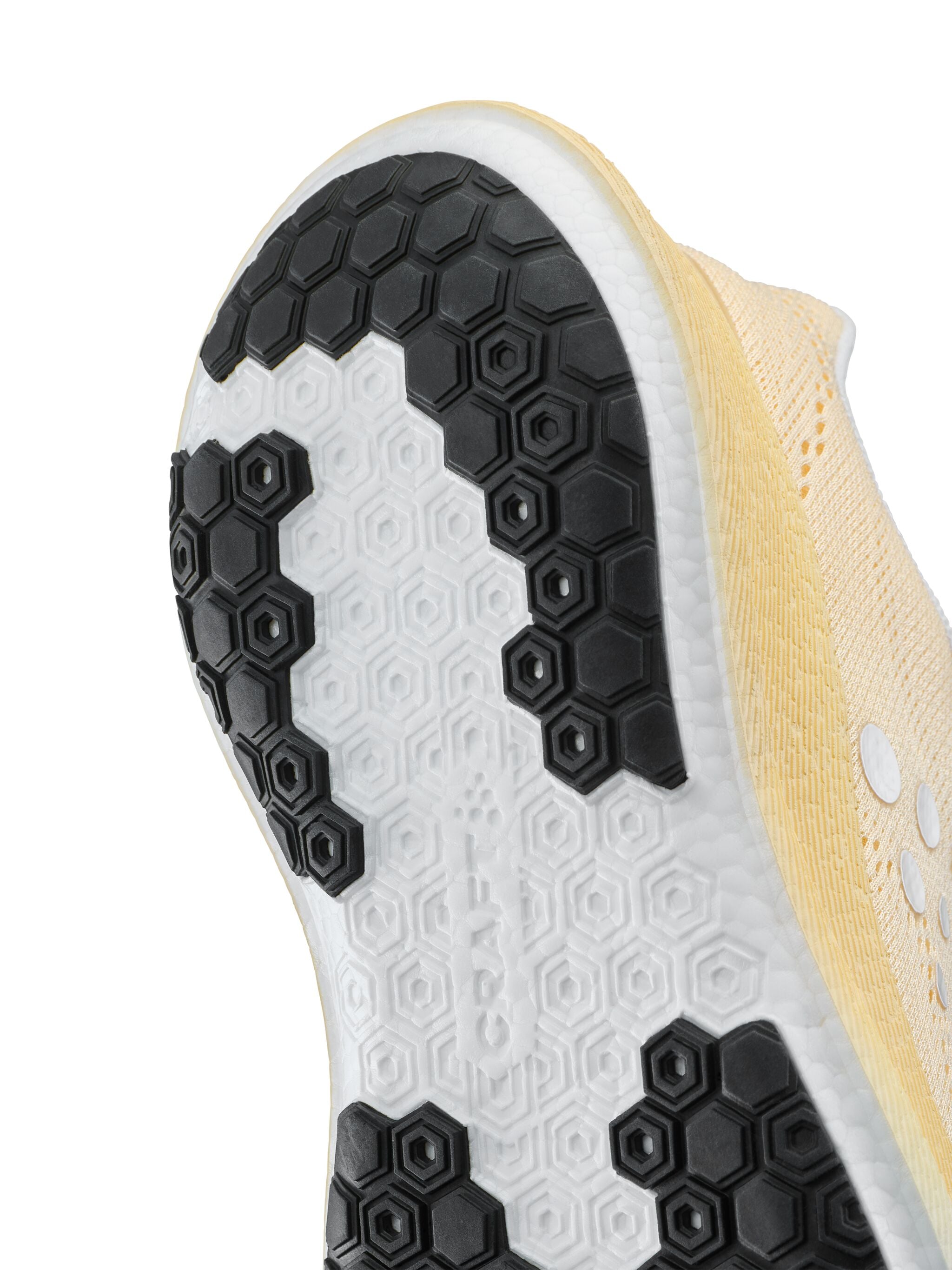 PACER 2